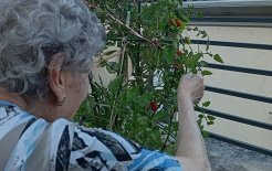 Personas residentes se encargan de regar, de quitar las malas hierbas y de recoger los frutos.