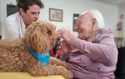Una de las intervenciones, en sesiones que se realizan una vez a la semana, identificando necesidades y objetivos terapéuticos.