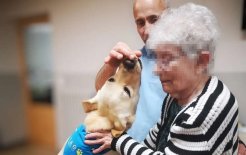 Una de las intervenciones, en sesiones que se realizan una vez a la semana, identificando necesidades y objetivos terapéuticos.