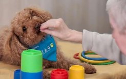 Una de las intervenciones, en sesiones que se realizan una vez a la semana, identificando necesidades y objetivos terapéuticos.