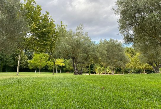 Jardines de Casa Santa Elena