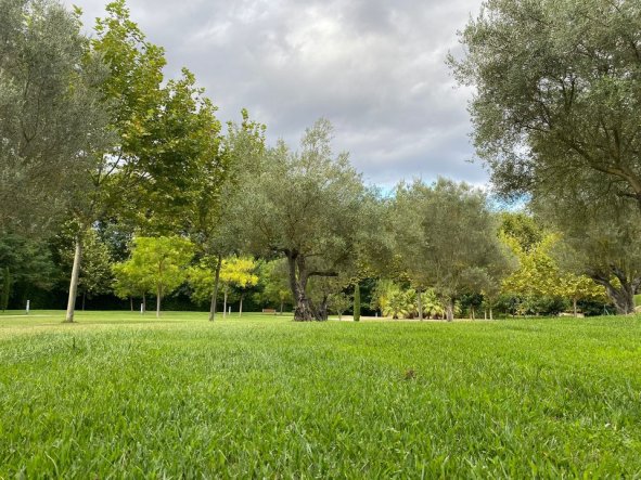 Jardines de Casa Santa Elena