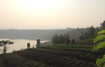 Mujeres trabajando en el campo, en Rubare, República Democrática del Congo