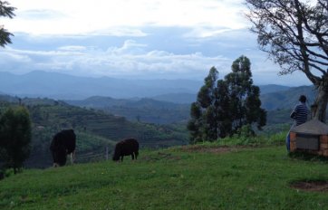 Paisaje de Nyarusange, en Ruanda